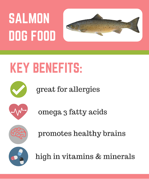 tableau des aliments pour chiens au saumon