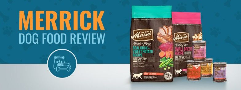 Merrick Dog Food Review, rappels et analyse des ingrédients en 2021