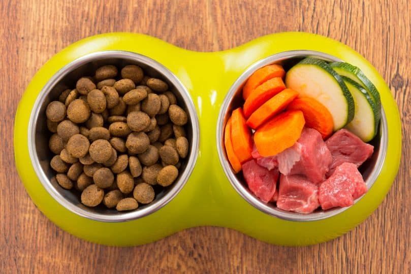 Prírodné jedlo v miske ako opak suchého krmiva pre psov
