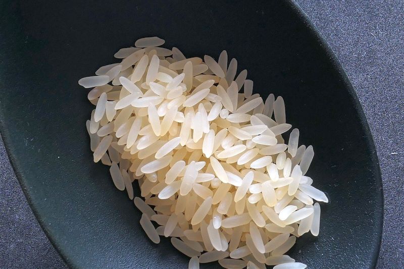 koirat pitävät keitetystä riisistä
