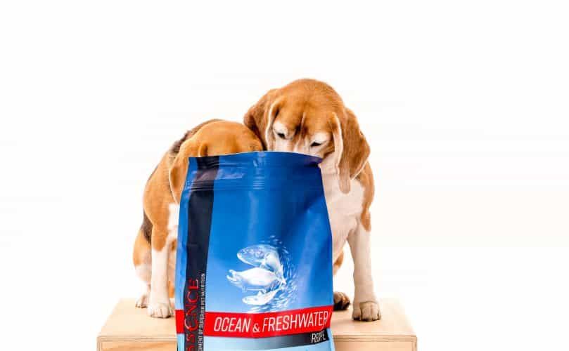 Zwei Beagles, die aus einer Tüte Essence Ocean & Freshwater Rezept Hundefutter essen