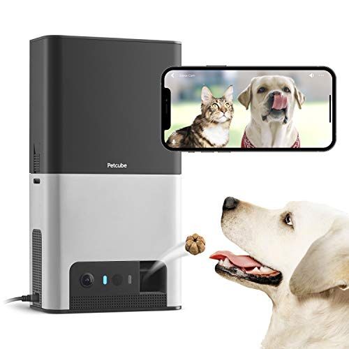 [Új 2020] Petcube Bites 2 Wi-Fi háziállatkamera, adagolóval és beépített Alexa-val kutyáknak és macskáknak. 1080p HD videó, 160 ° -os teljes szoba kilátás, kétirányú hang, hang/mozgás figyelmeztetések, éjszakai látás, háziállat-monitor