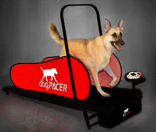 dogPACER 91641 LF 3.1 Treadmill Dog Pacer Saiz Penuh, Hitam dan Merah