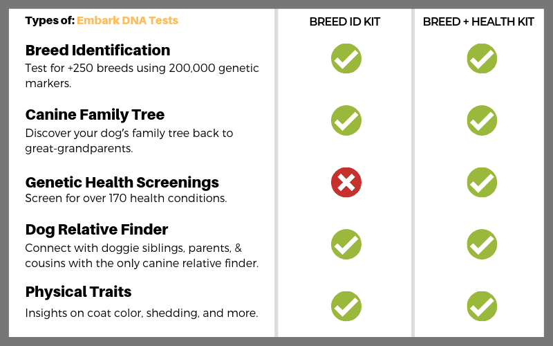 сравнение тестов ДНК на собаке