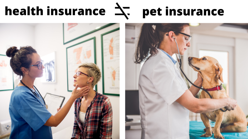 Krankenversicherung vs Haustierversicherung