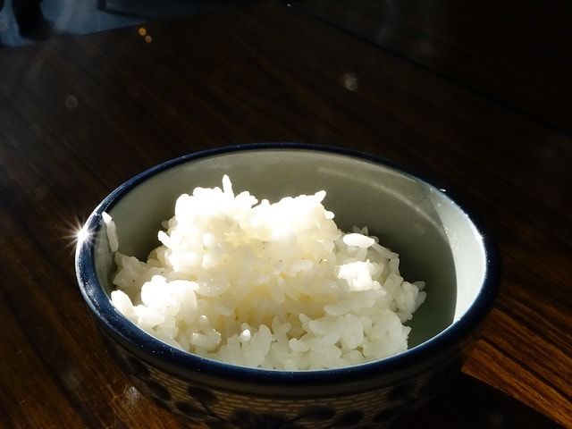 الأرز العادي لإسهال الكلاب
