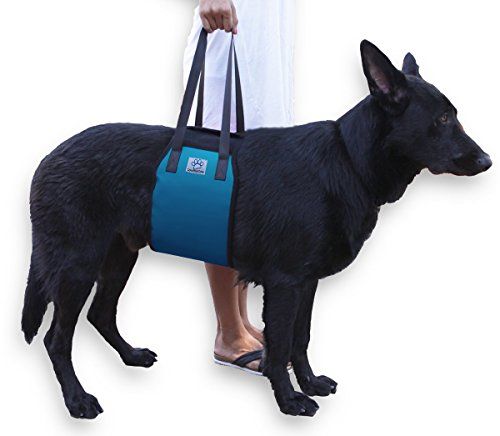 Голямо синьо куче за вдигане на куче Каменна помощ - Повдигане на по -стар K9 с дръжка за наранявания, артрит или слаби задни крака и стави. Помощни прашки за средни и големи породи за мобилност и рехабилитация.