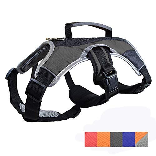 Dog Walking Lifting Carry Harness, Support Mesh Padded Vest, Accessory, Collar, Lightweight, No More Pulling, Tugging or Choking, for Puppies, Small Dogs (Black, Small) โดย Downtown Pet Supply