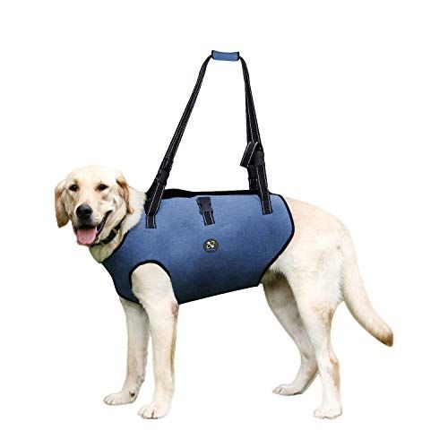 Coodeo Dog Lift Harness, Pet Support & Rehabilitation Sling Lift สายรัดระบายอากาศแบบปรับได้สำหรับผู้สูงอายุ, ผู้พิการ, อาการบาดเจ็บร่วม, โรคข้ออักเสบ, การสูญเสียความมั่นคง Dogs Walk (XXLarge)