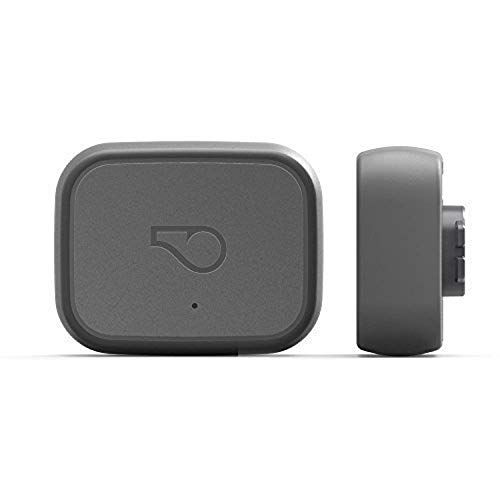 Whistle 3 / GPS Pet Tracker & Activity Monitor / Gris