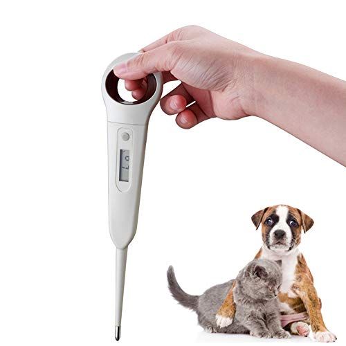 aurynns Haustier-Hundethermometer Pferde-Anus-Thermometer Schnelles digitales Veterinär-Thermometer für Hunde, Katzen, Schweine, Schafe (℉