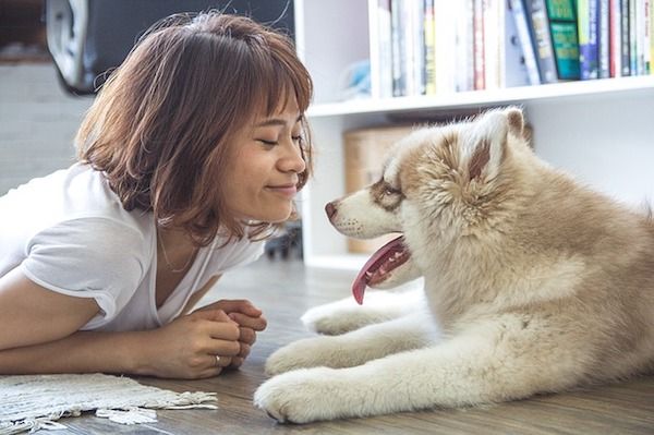Bisakah Saya Memberi Anjing Saya Ibuprofen? Bukan Tanpa Berbicara dengan Dokter Hewan Anda Terlebih Dahulu.