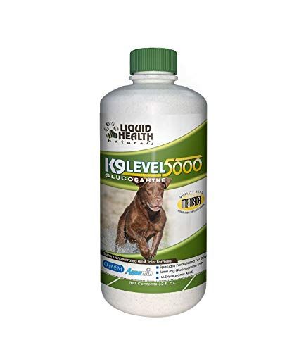 LIQUIDHEALTH K9 Niveau 5000 Chien Glucosamine Chondoritin - Supplément articulaire concentré pour chiens