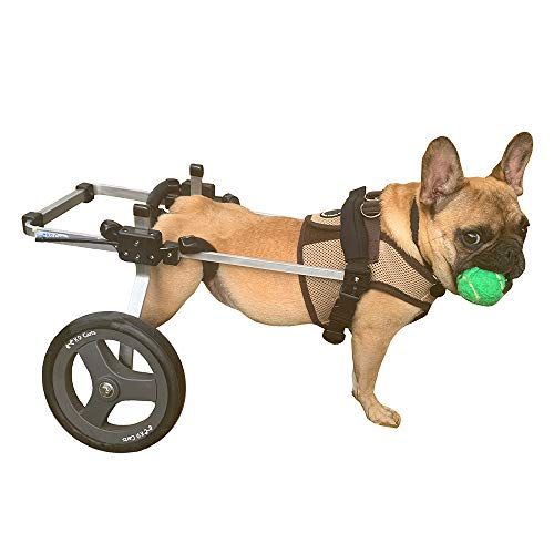 Fauteuil roulant pour chien K9 Carts - (Sm/Med, 26-35 lbs) - Fabriqué aux États-Unis