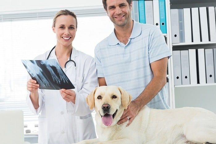 frais de radiographie du chien