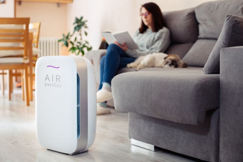 Как да изберем пречиствател на въздух за домашни любимци