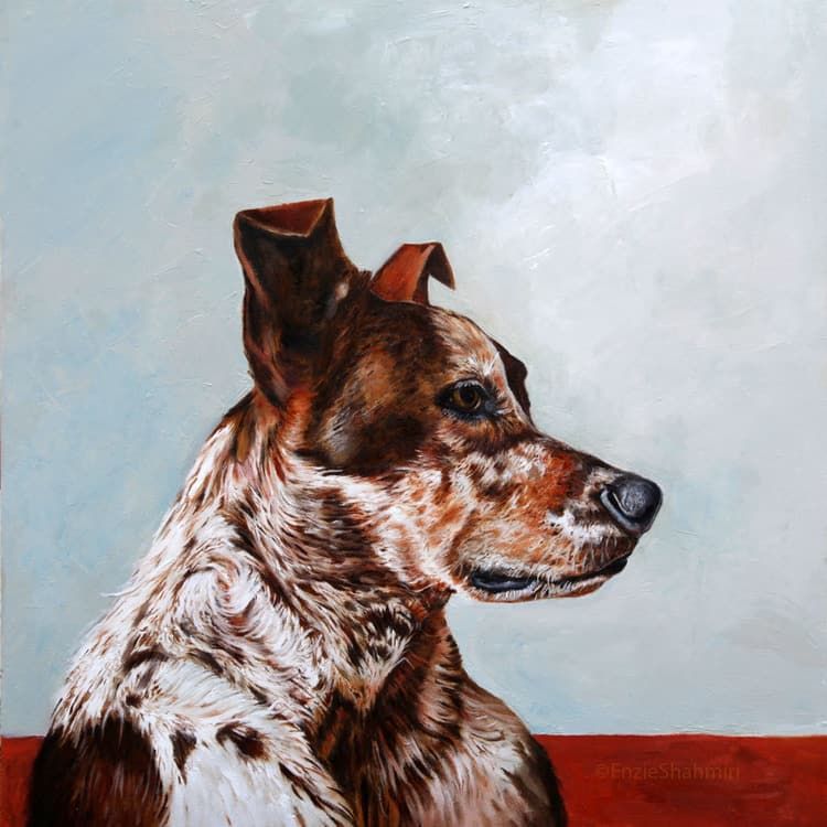 portréty psov