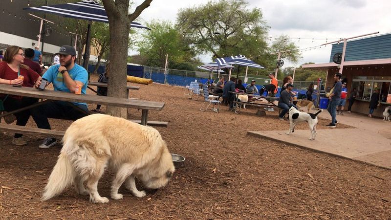 „Yard Bar“ šunų parkas