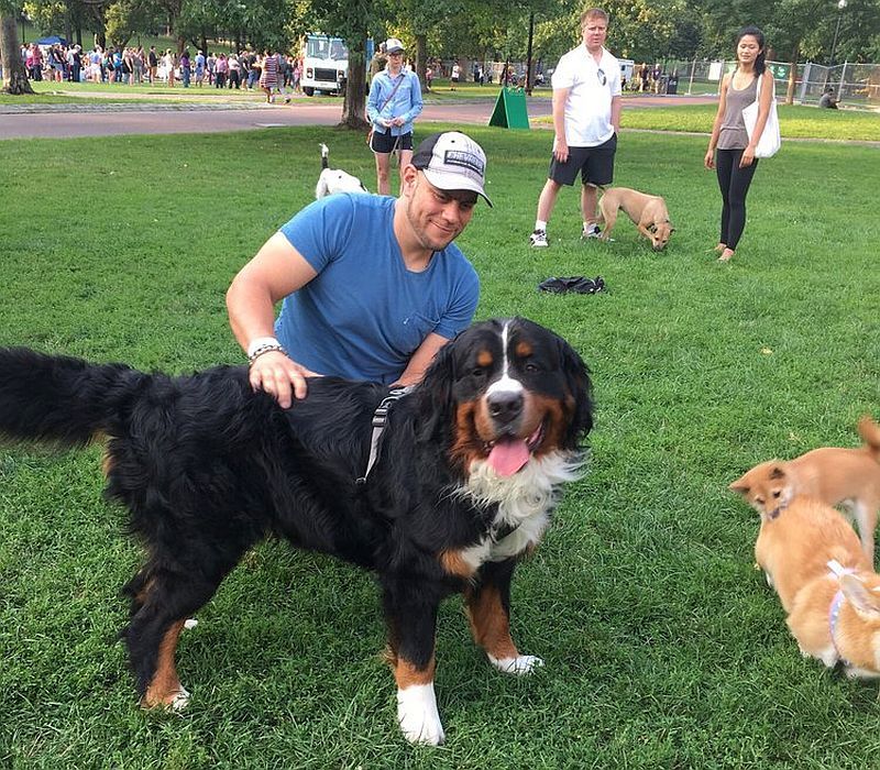 Parc canin commun de Boston