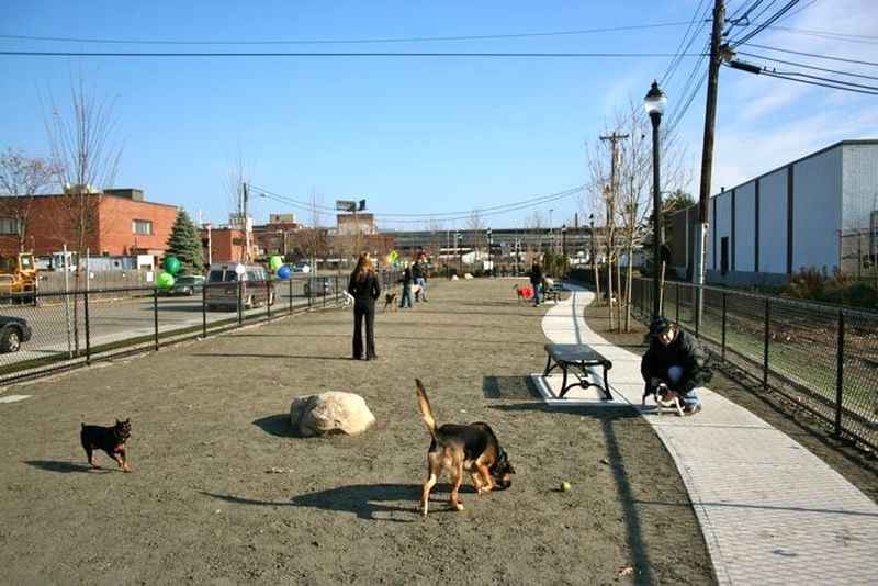 Zero New Washington Street Dog Park
