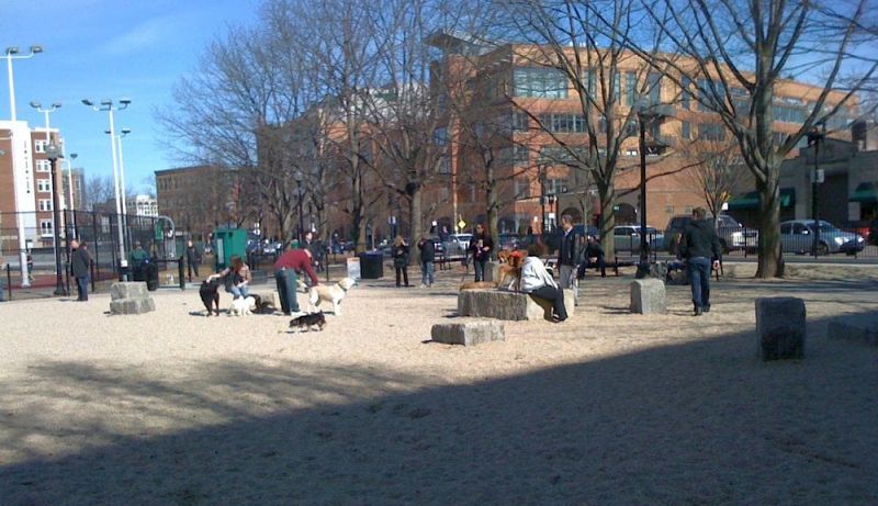 11 meilleurs parcs pour chiens à Boston: escapades urbaines à Boston pour votre ami