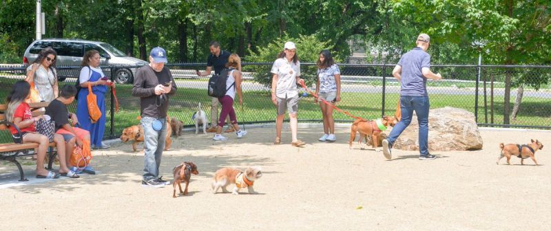 Парк за кучета в Бронкс