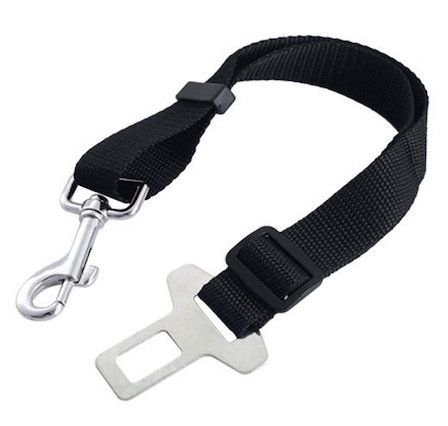 ceinture de sécurité pour chien