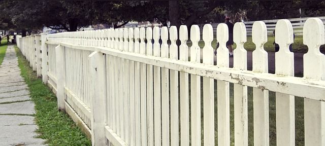 ограда за двор за кучета