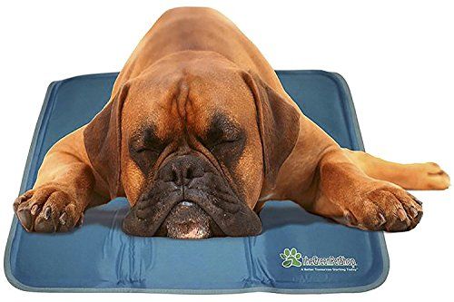 Thảm làm mát cho chó của The Green Pet Shop - Thảm làm mát bằng gel kích hoạt áp lực dành cho chó, kích thước vừa phải - Thảm làm mát cho thú cưng này giúp chó và mèo thoải mái suốt mùa hè - Lý tưởng cho việc ở nhà và đi du lịch