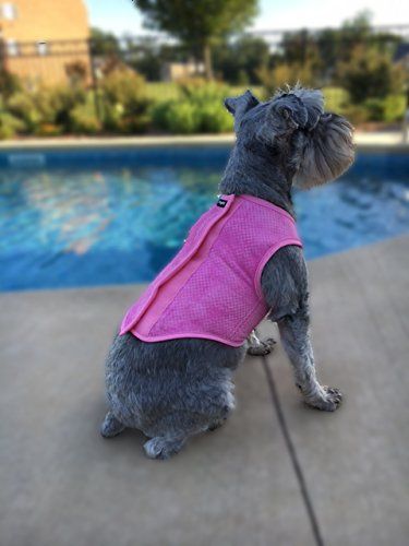 PupPal Pet Cooling Vest (Rosa) - Medium: 15