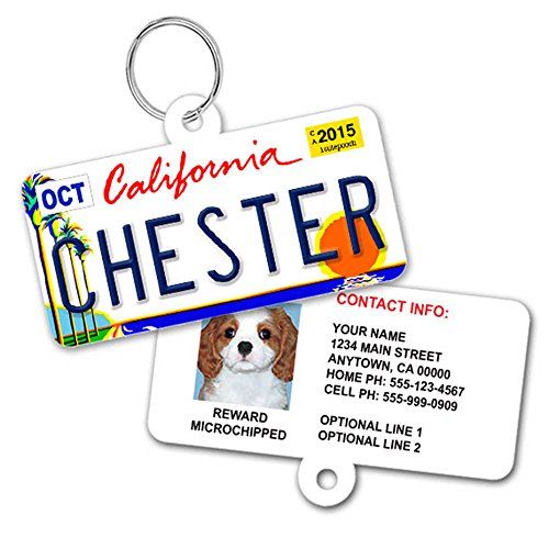 Персонализирани етикети за кучета за регистрационни номера за домашни любимци - Персонализирани етикети за идентификация на домашни любимци - Налични за всички 50 държави - Етикети за кучета за кучета - Етикет за идентификация за кучета - Персонализирани етикети за идентификация на кучета - Етикети за идентификация на котки - С снимка на домашен любимец