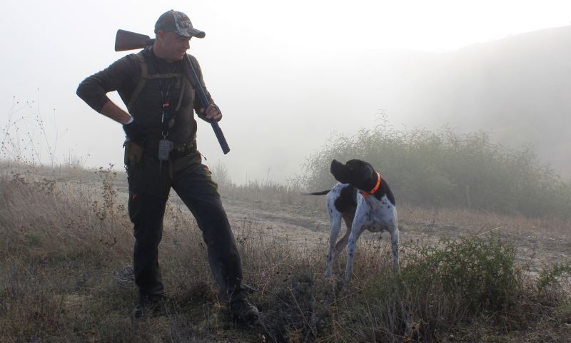 protection auditive pour chien de chasse