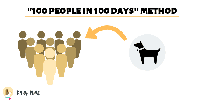 кученце-социализация-100-човека