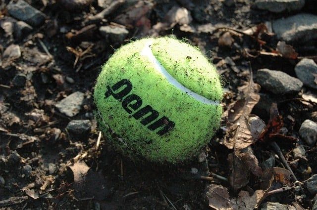Tennis pallo
