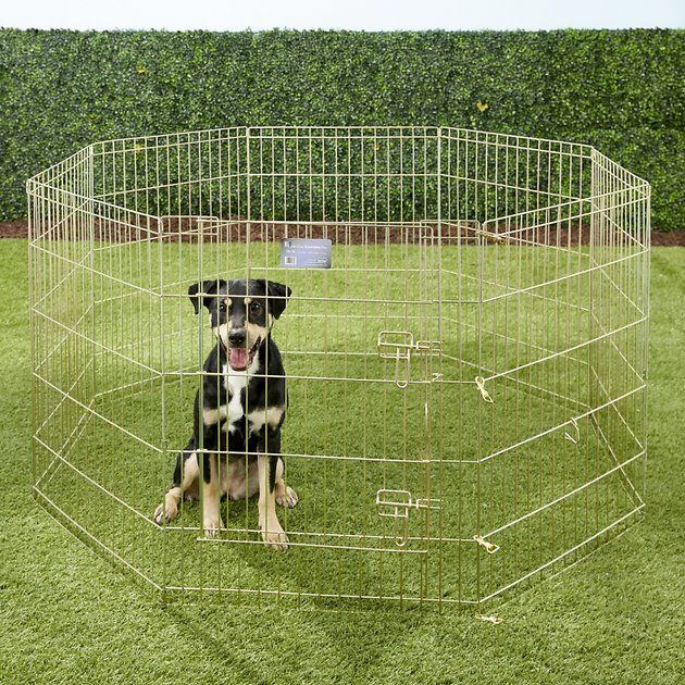 MidWest Wire Dog træningspen