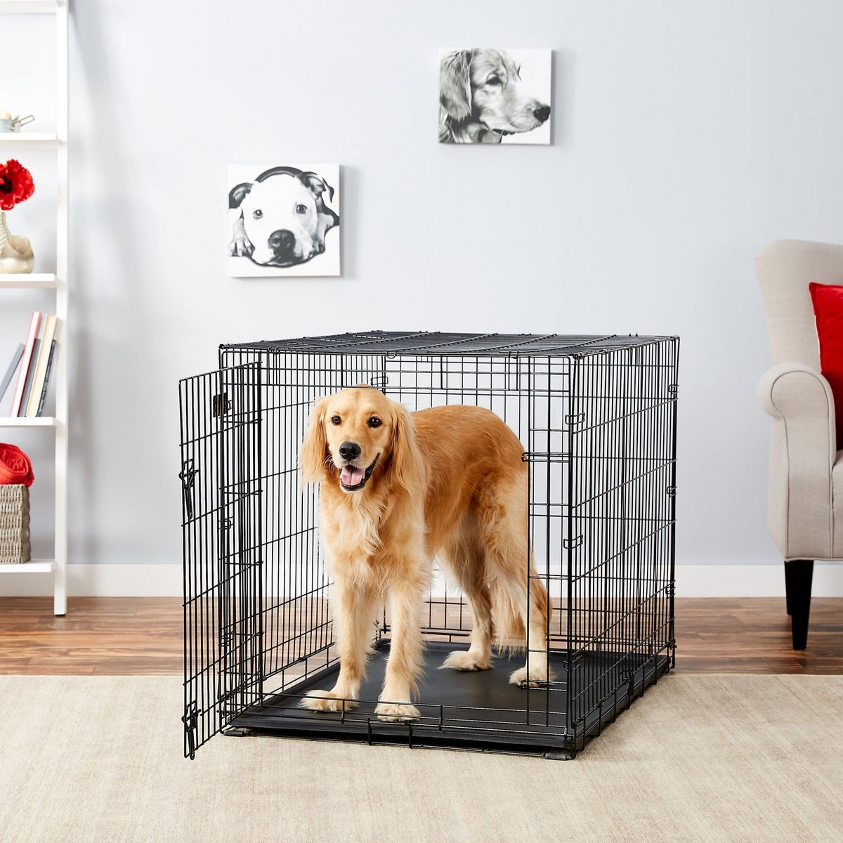 42 Metal Dvojna zložljiva kovinska iCrate Dog by Midwest