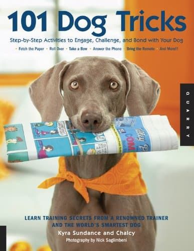 Trickbücher zum Hundetraining