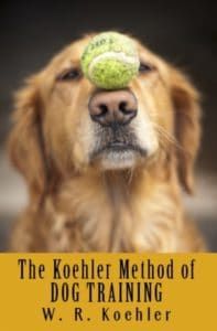 تدريب الكلاب koehler