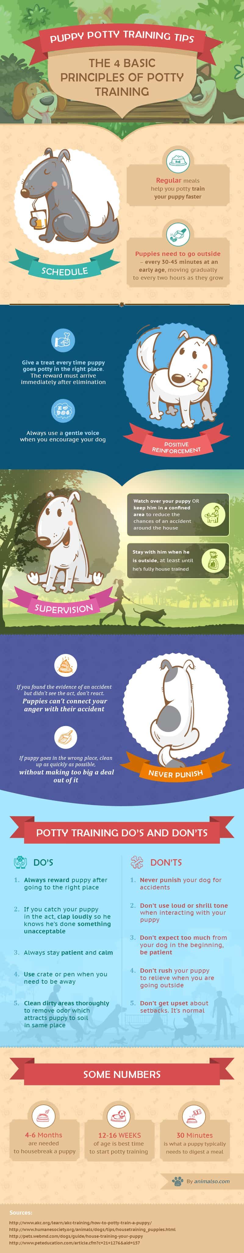 Tipy na výcvik nočník pre šteňatá a psy (kompletný sprievodca)