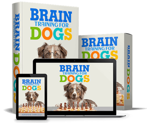 ฝึกสมองสำหรับสุนัข
