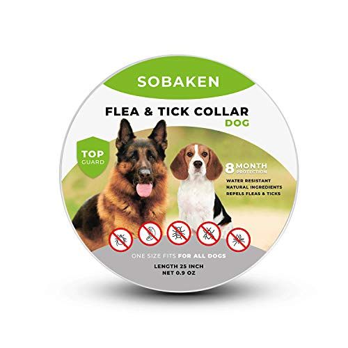 SOBAKEN Flea and Tick Prevention for Dogs, Natural and Hypoallergenic Flea এবং Tick Collar for Dogs, One size fits all, 25 inch, 8 Month Protection, Charity