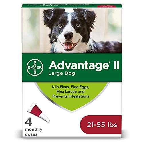 Advantage II 4-Dosen-Flohbehandlung für große Hunde, Flohbehandlung für große Hunde 21-55 Pfund