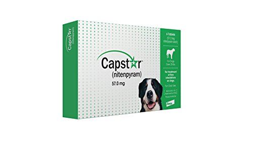 Tratamento oral de pulgas Capstar Green Box para cães grandes com mais de 25 libras. 6 pílulas / comprimidos (CA4925Y07AM)