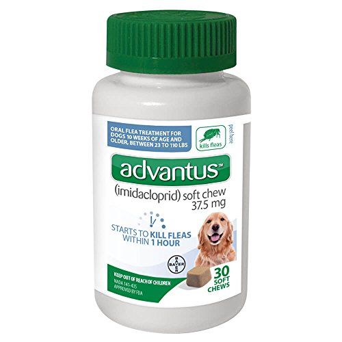 PSL Advantus 37,5 mg stor hund 23-100 lbs 30ct