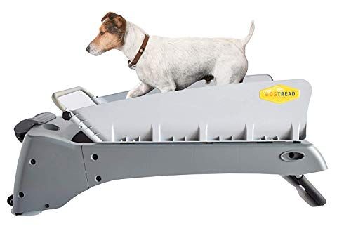 DogTread Premium Small Dog Løbebånd