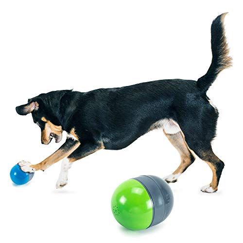 PetSafe Ricochet - Elektronisches Quietschen-Hundespielzeug - 2 gepaarte Spielzeuge Quietschen, um Hunde zu beschäftigen - Spannendes Puzzle für gelangweilte, ängstliche oder energische Haustiere