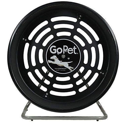 GoPet Treadwheel para sa Mga Maliit na Aso