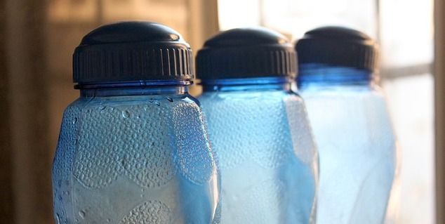 زجاجات المياه للكلاب