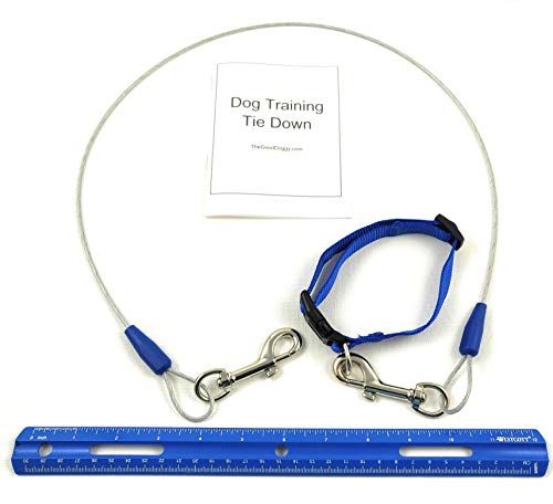 Kabel Tie Out Training Dog, 3 Ft Jumping Jumping Destructive Chewing Housetraining Counter Surfing Teething Puppy Potty Training Tether Chew Proof Cable (Tie-Down with Nylon Loop)