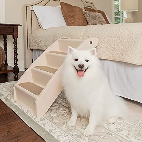 9 geriausi naminių gyvūnėlių laiptai ir rampos, padedančios jūsų šuniui aplink namus